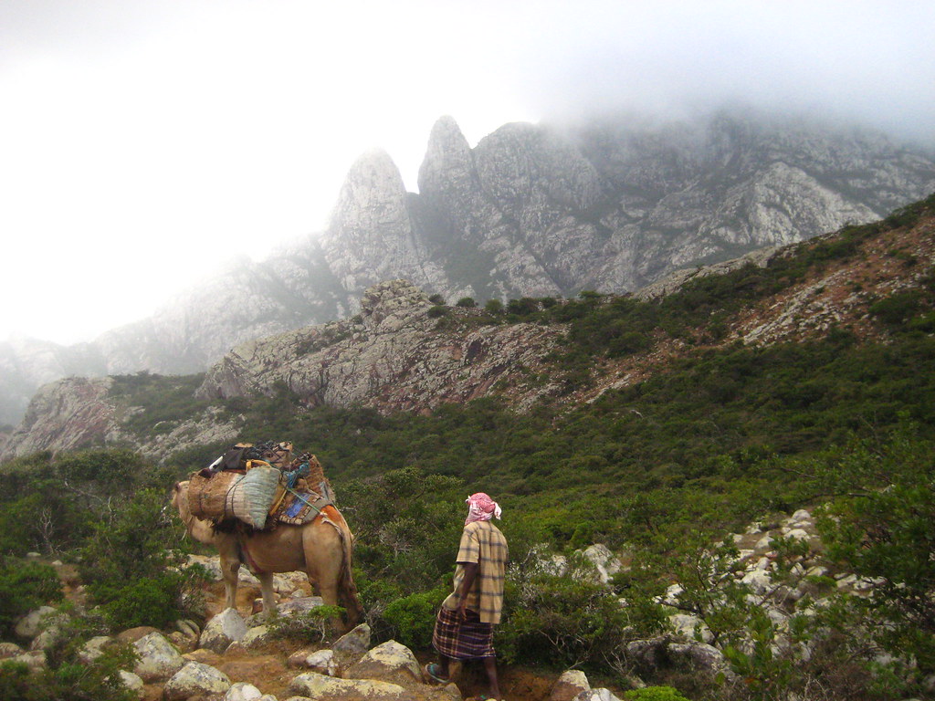 Socotra culture