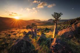 Trekking in Socotra
